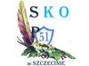 SKO w SP 51w Szczecinie