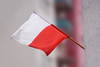 Uroczyste świętowanie Rocznicy Odzyskania Niepodległości w SP 12