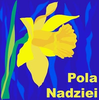 Pola nadzei