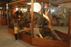 PRZEDSZKOLAKI W ZOO
