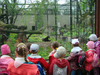 ZOO, zwierzęta, ZOO