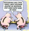 O CZYM MOGĄ ROZMAWIAĆ ŚWINKI SKARBONKI? ;)
