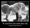 WITAM :)