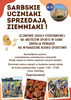 Sarbskie uczniaki sprzedają ziemniaki 🏪🥔
