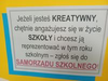 KAMPANIA WYBORCZA W SP 19