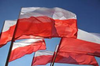 Początek maja to tradycyjnie okres uroczystości upamiętniających najważniejsze wydarzenia i symbole, które zapisały się w historii polskiej państwowości.