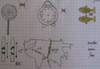 Rebus matematyczny Karoliny