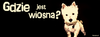 Wiosna , wiosna, wiosna ach to ty...