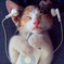 martyna002
