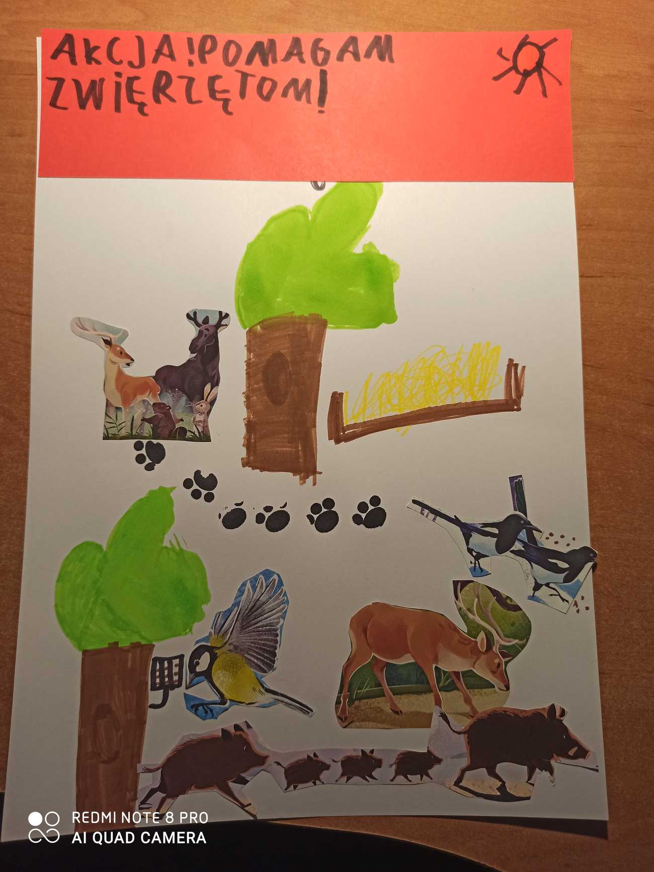 Napisz Trzy Przykłady Jak Można Pomóc Zwierzętom Przetrwać Zimę