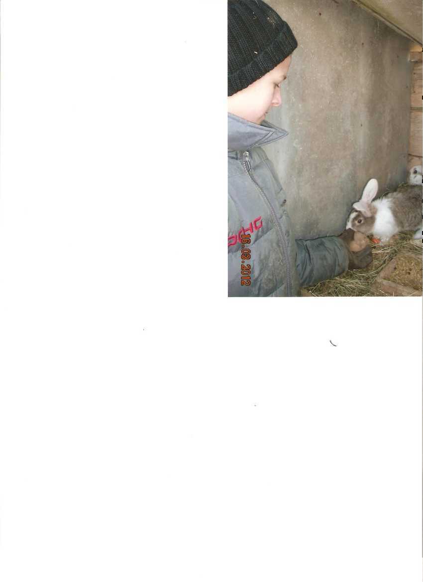 copy2_of_Robert1.jpg