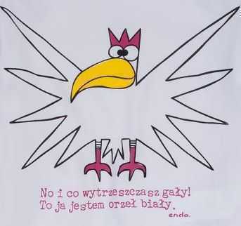 orzel_moze_1.jpg
