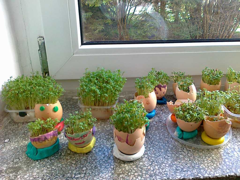 20140312192.jpg