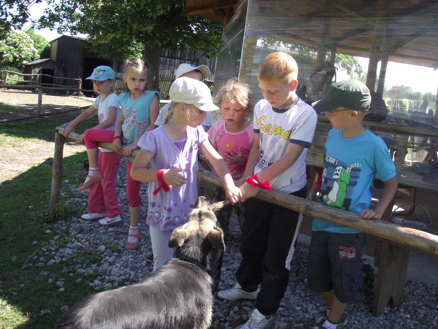 DSCF5984.jpg
