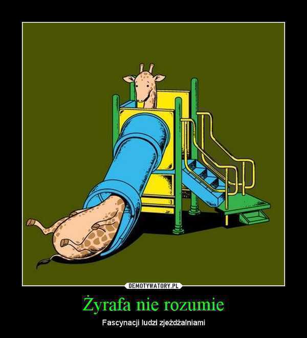 1351230819_tmpmns_600.jpg