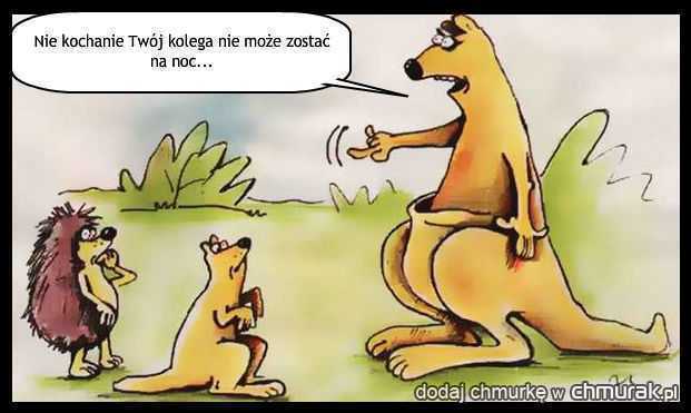 207177_niekochanietwojkoleganiemozezostacnanoc.jpg