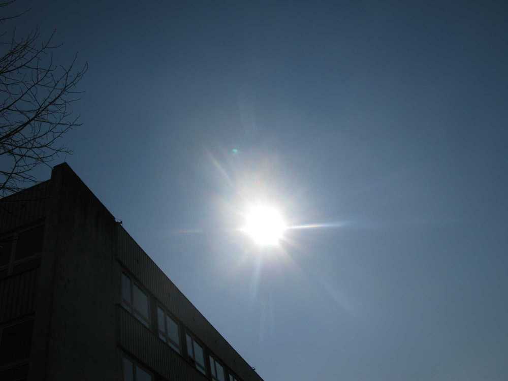 IMG_8083.JPG
