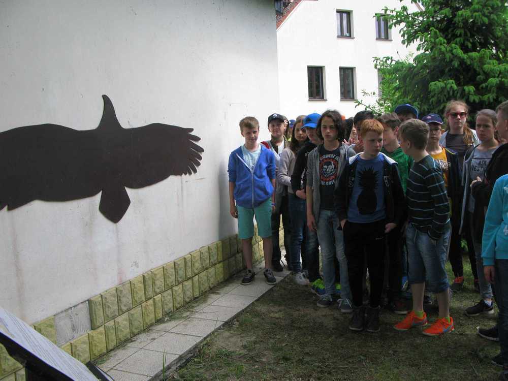 IMG_8916.JPG