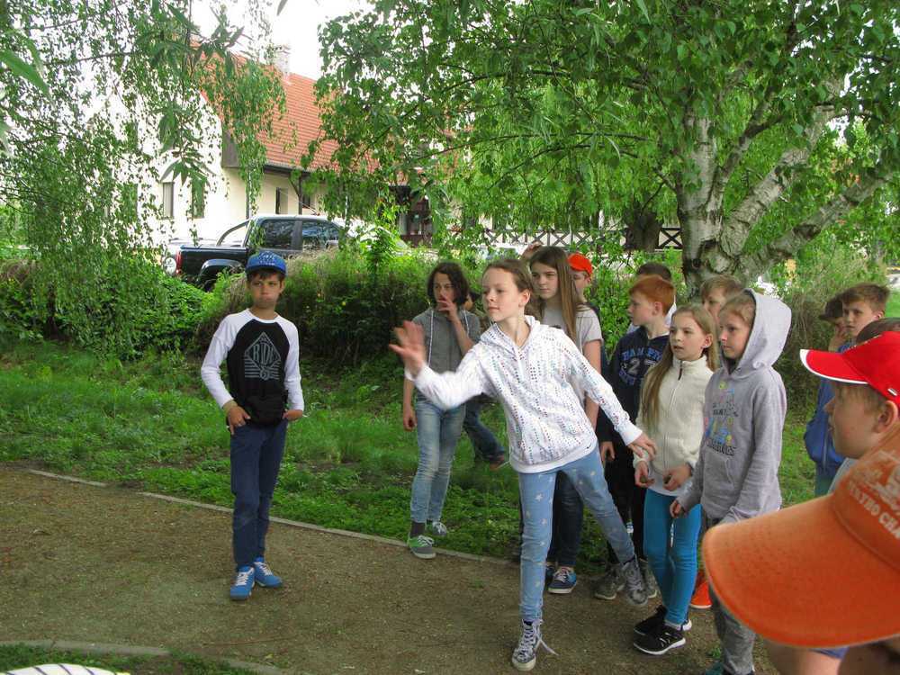 IMG_8936.JPG