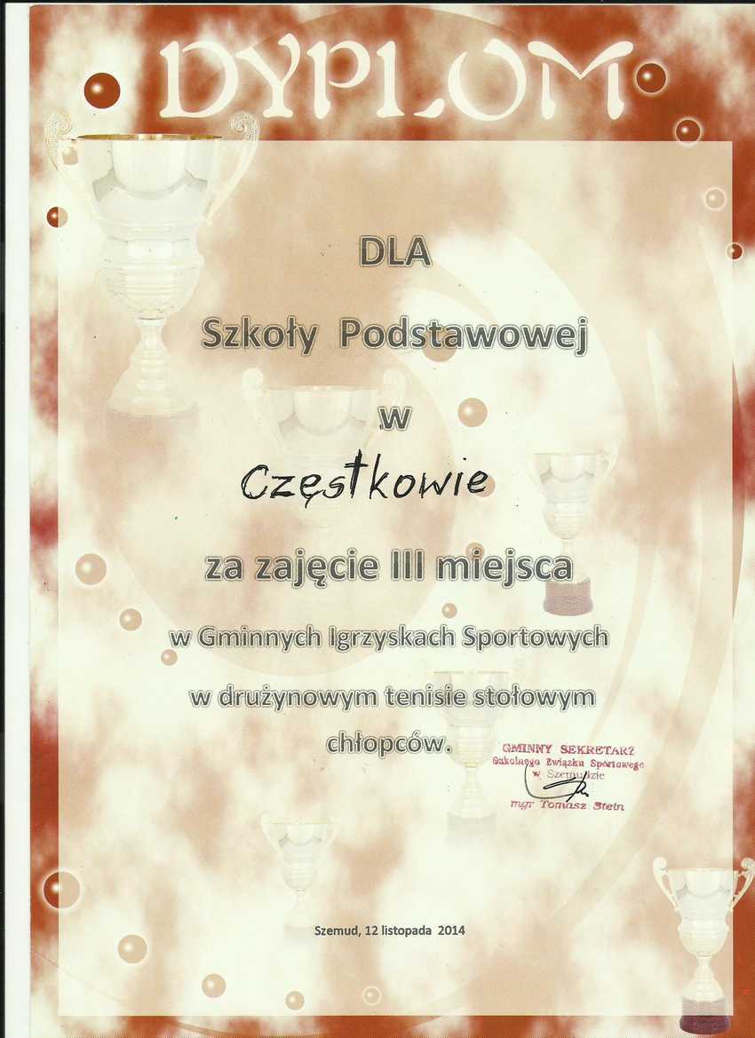 copy_of_dyplom1.jpg