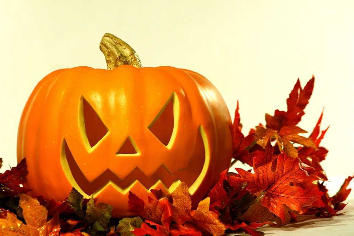 HalloweenPumpkin84936_low.jpg