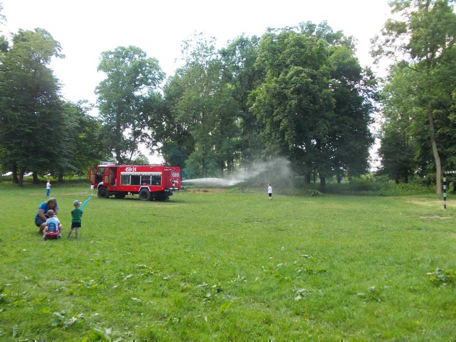 piknik2031.jpg