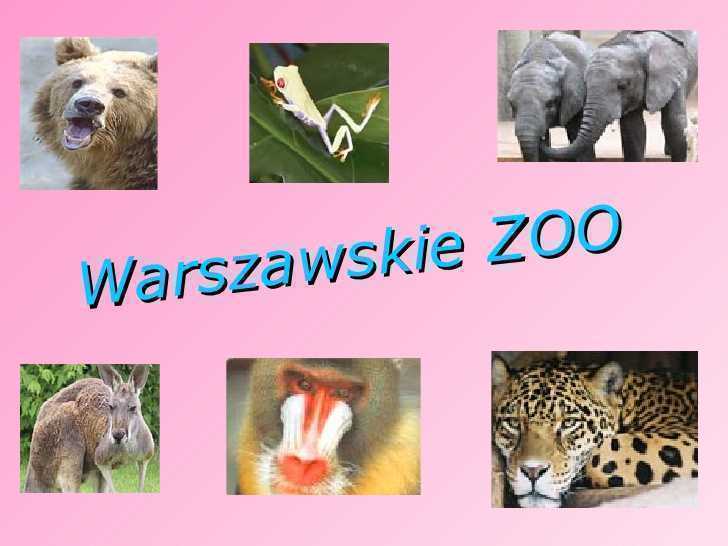 zoo2.jpg