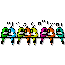 copy_of_80ptaki_6_agusi.gif