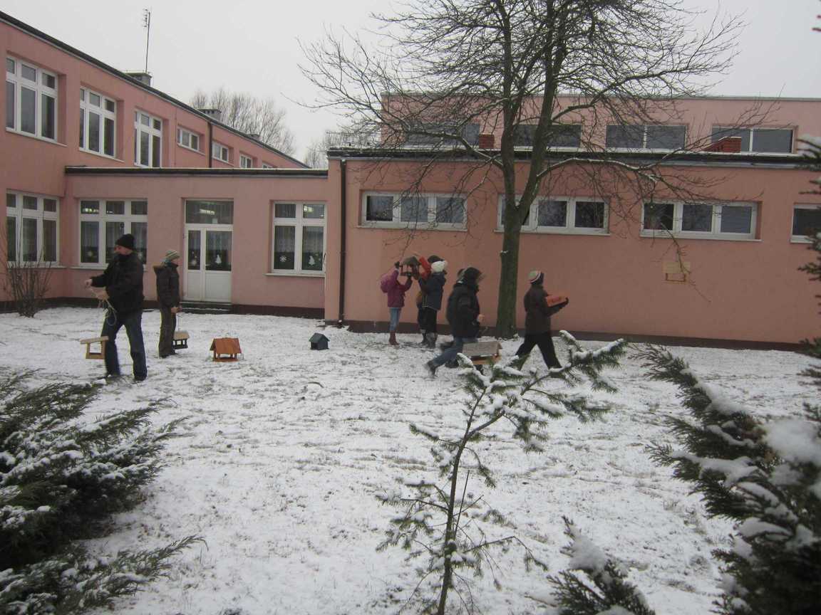 lop3.jpg