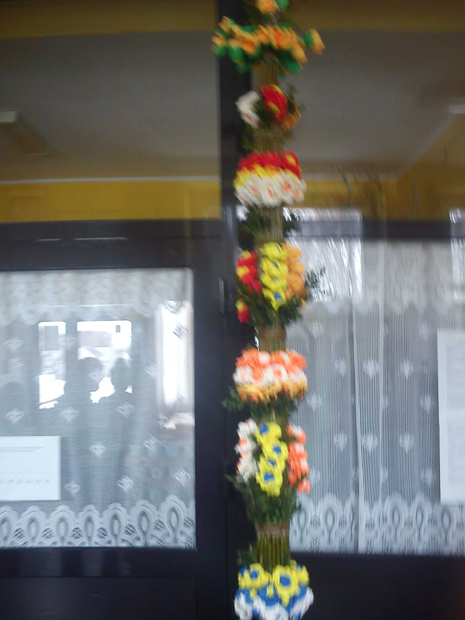 DSC00043.JPG