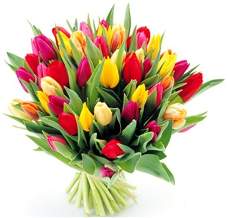 tulipany.png
