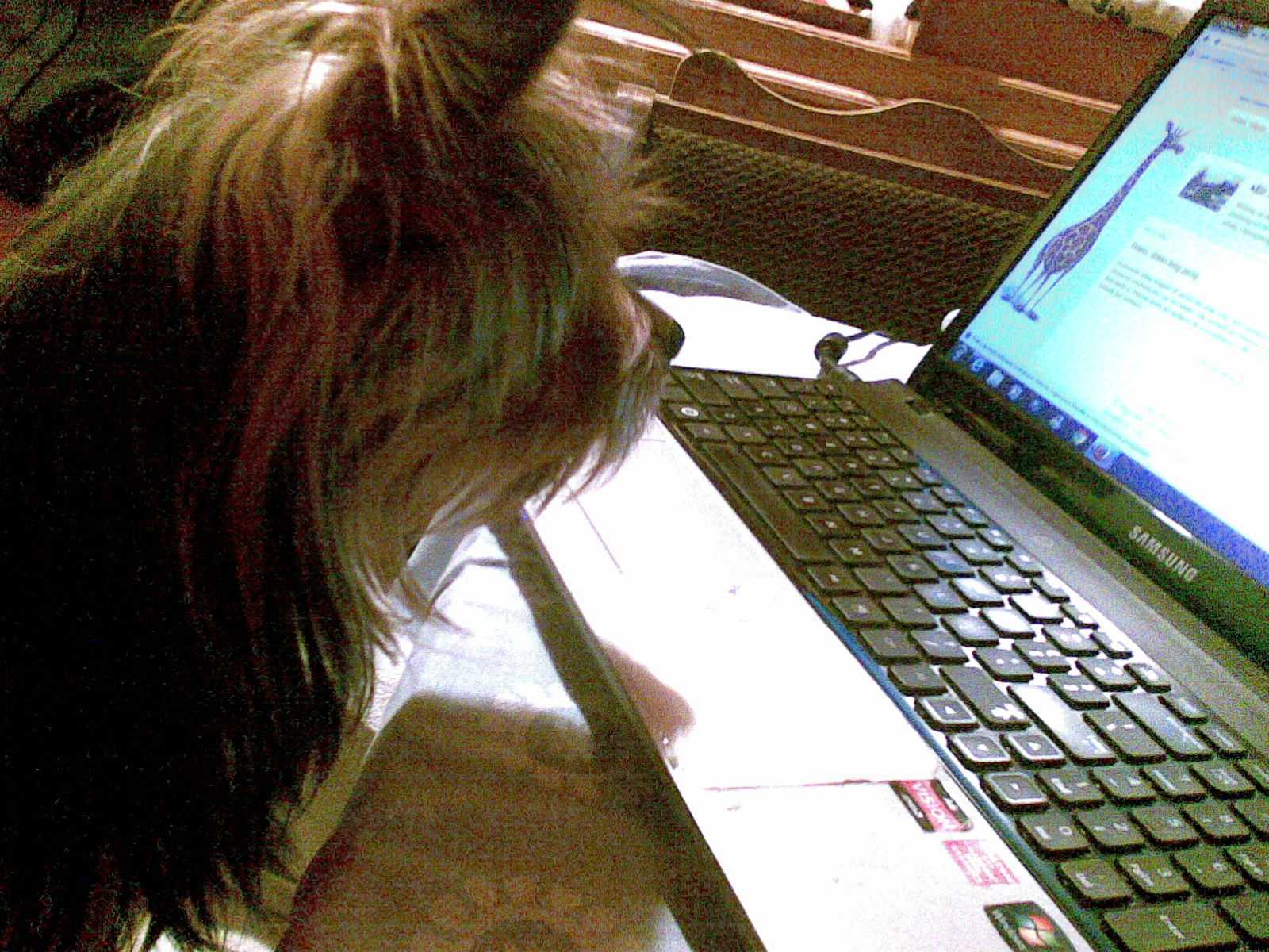 04122013005.jpg