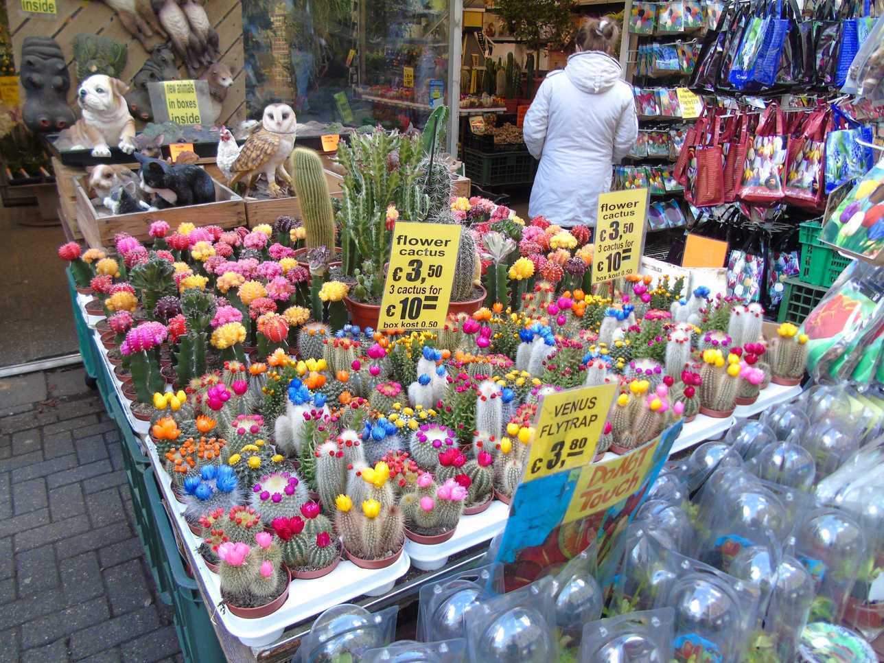 DSC00355.JPG