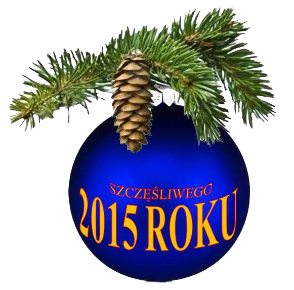 NOWYROK.png