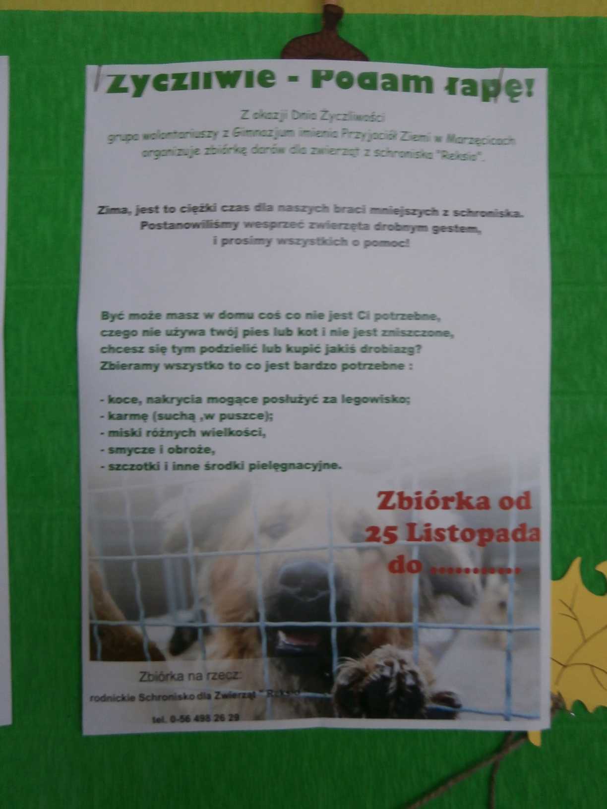PB282806.JPG
