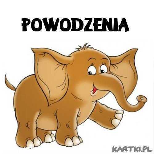 copy5_of_powodzenia_3.jpg