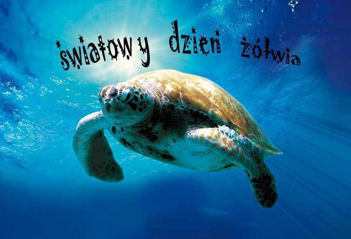 swiatowydzienzlwia.jpg