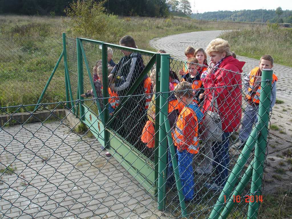 DSC07082.JPG