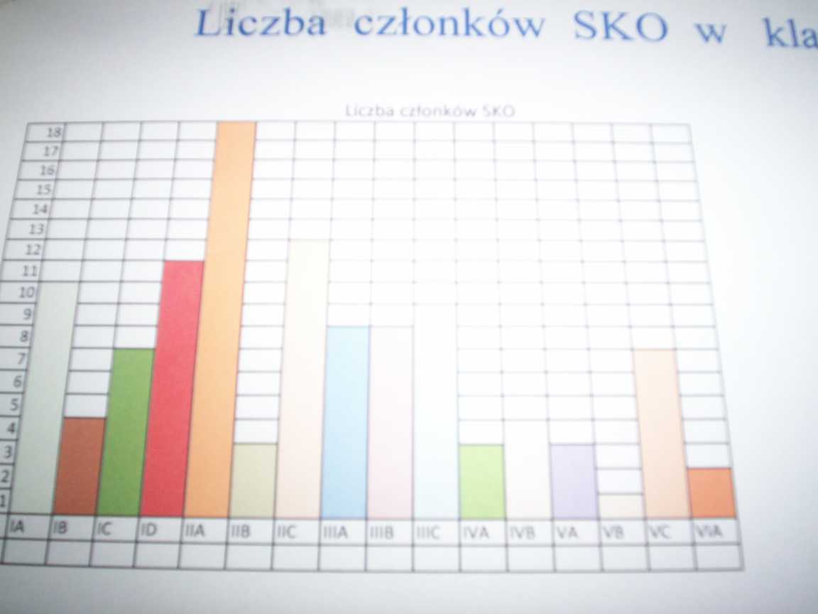 Liczba członków SKO w poszczególnych klasach