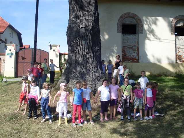 SDC108611.JPG