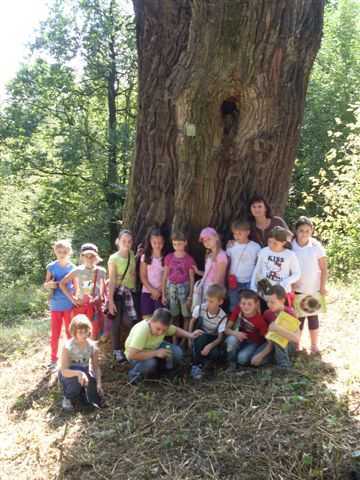 SDC10865.JPG