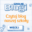 blog_sko.gif
