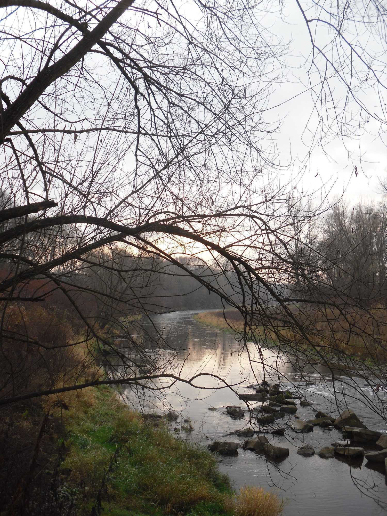 SDC11040.JPG
