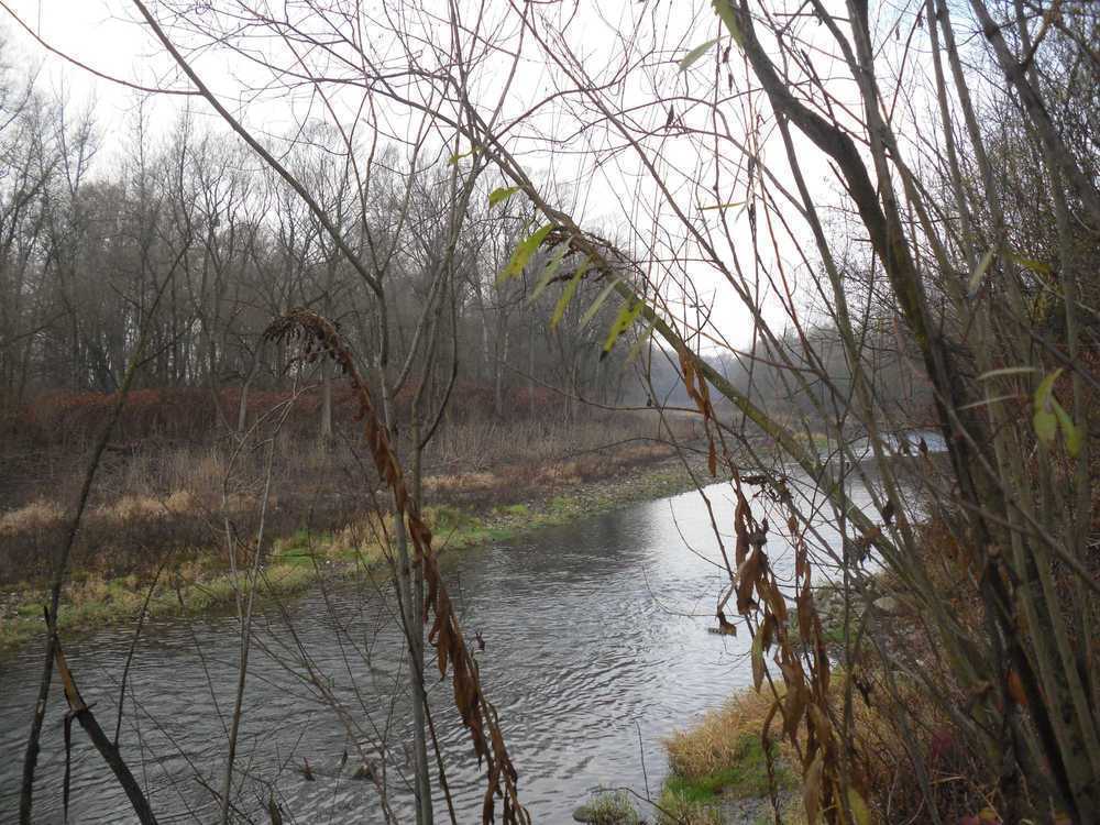SDC11042.JPG