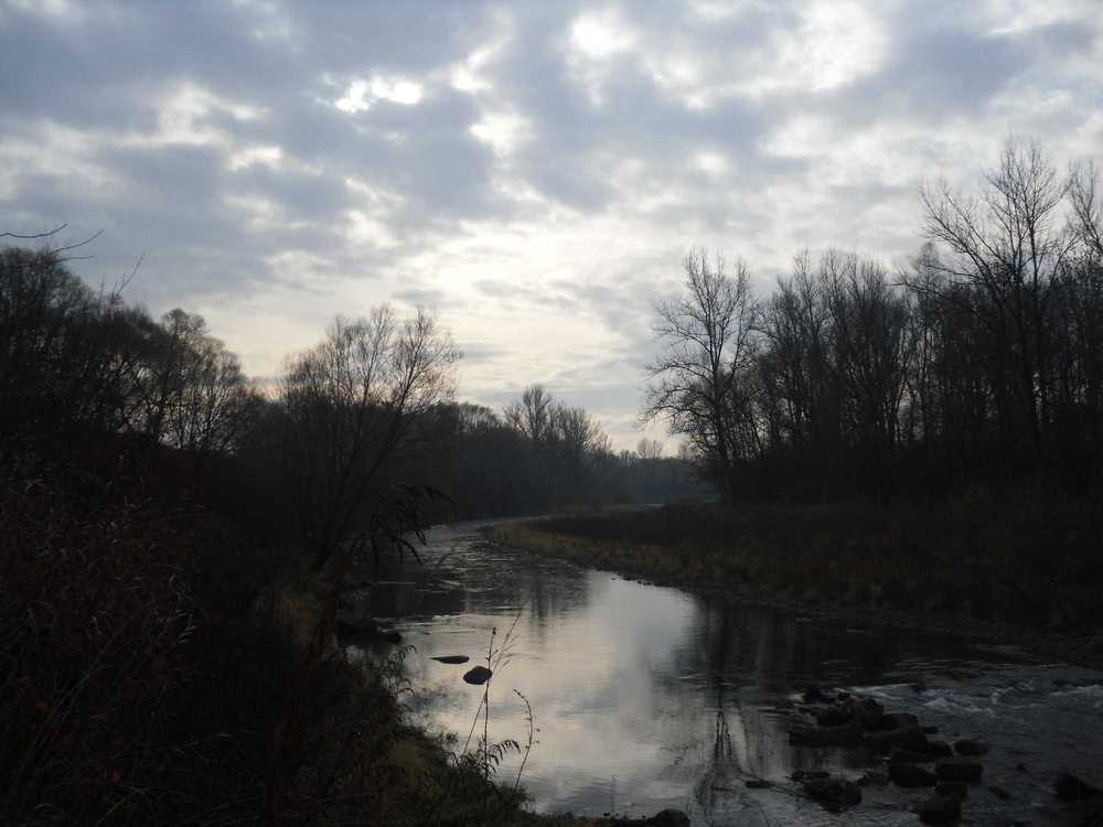 SDC11043.JPG