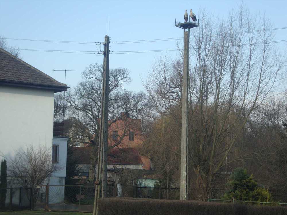DSC07887.JPG