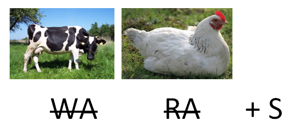 copy_of_Rebus_krokus.png