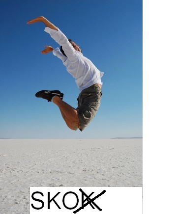 SKOK.bmp