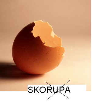 SKORUPA.bmp