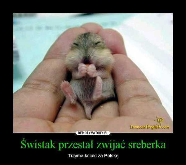 polska.jpg